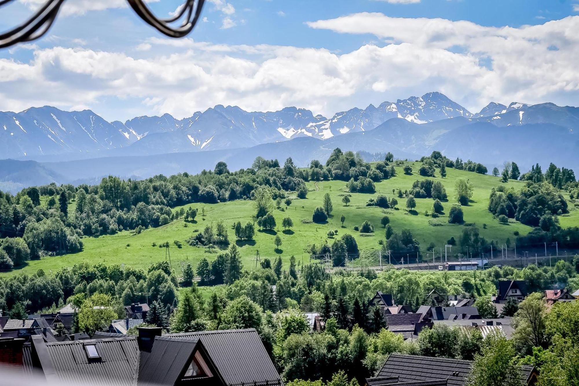 Willa U Zwijacza Zakopane Exterior foto