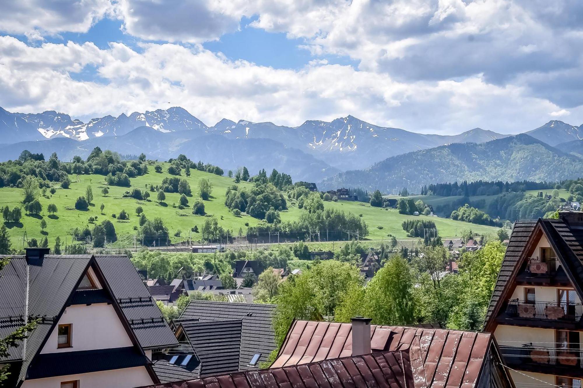 Willa U Zwijacza Zakopane Exterior foto